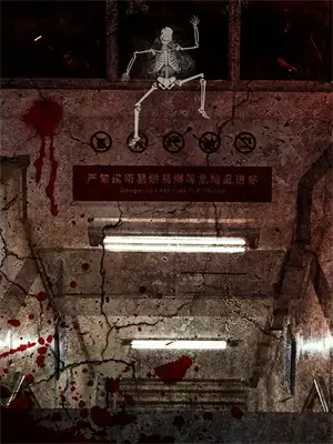 海贼开局成为草帽团画师