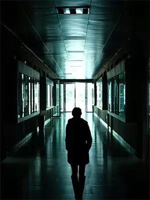 整容复仇记