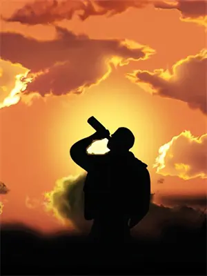 夏夜晚风遇过你短句