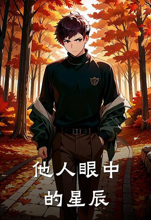 他人眼中的星辰